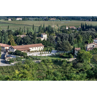 2020 Ripasso CLASSICO SUPERIORE, Valpolicella, Tenute SalvaTerra