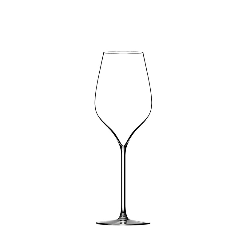 Pol Roger Champagne glass, 30 cl.